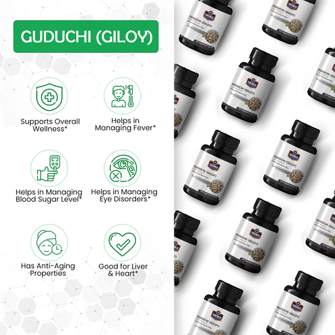 Guduchi (Giloy) Capsules for Immunity & Detox