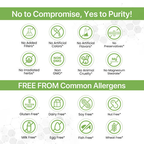 Moringa Powder for Immunity & Antioxidant Support
