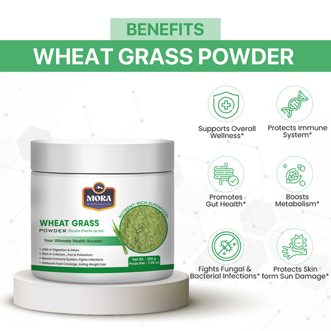 Poudre d'herbe de blé pour la santé intestinale, nettoyage naturel et regain d'énergie