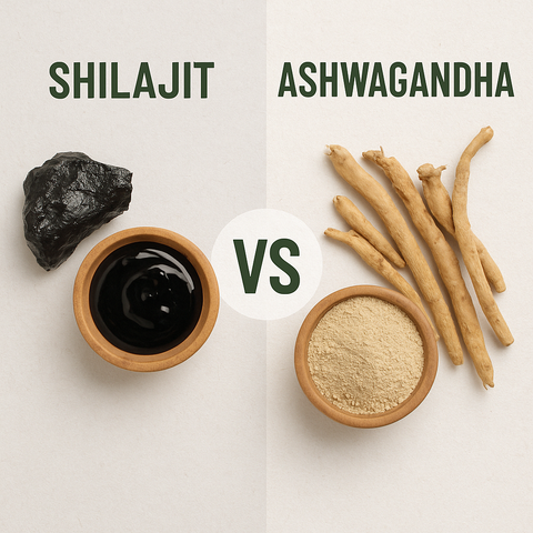 7 Key Differences Between Shilajit vs Ashwagandha: Which One Fits You Best?