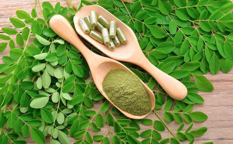 The Superfood Powerhouse: 7 Benefits of Moringa Powder in Capsules Form