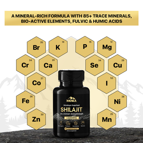 Shilajit Capsule