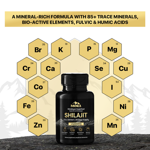 Himalayan Shilajit for Men & Women for Vitality, Stamina & Endurance